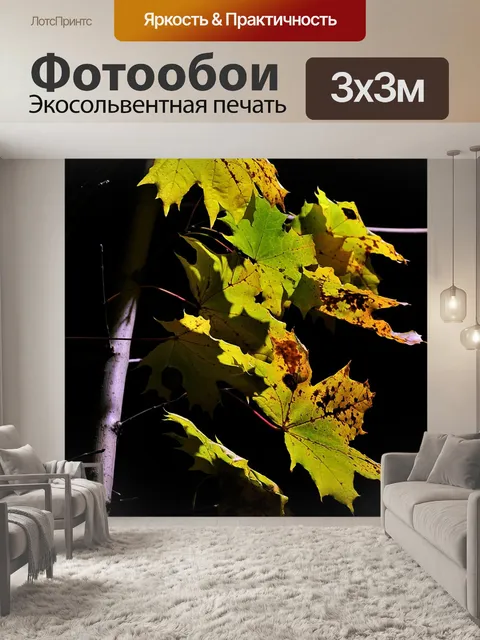 Фотообои Листья