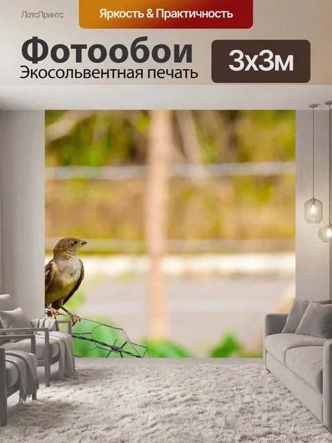 Фотообои Птицы