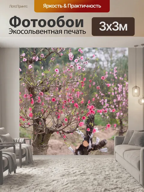 Фотообои Персик