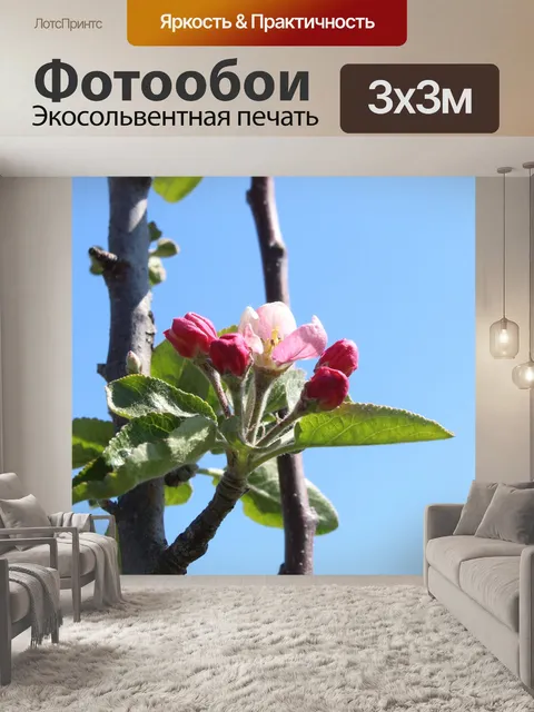 Фотообои Весна