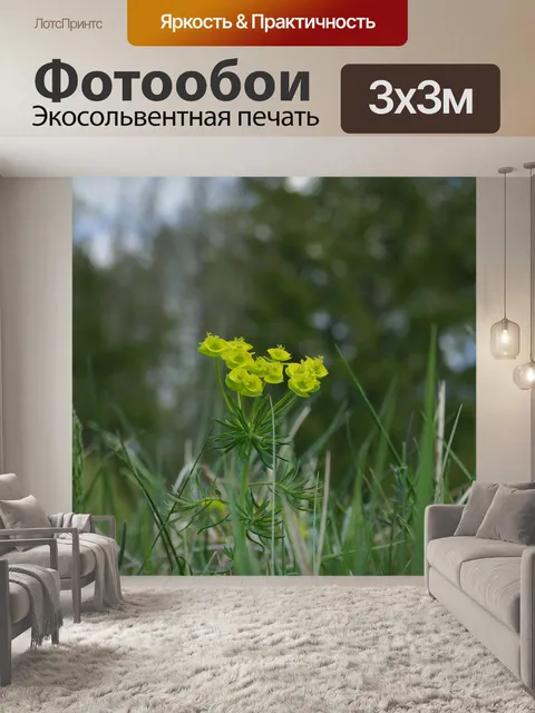 Фотообои Цветы