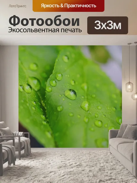 Фотообои Листья