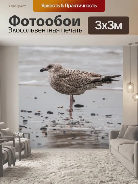 Фотообои Полярная чайка