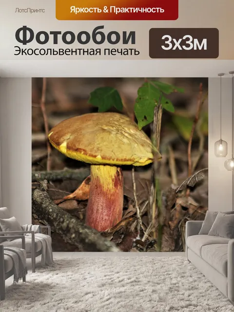 Фотообои Желтый гриб подберезовик крупным планом