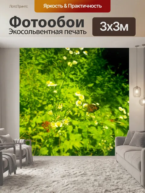 Фотообои Монарх в летнем лесу