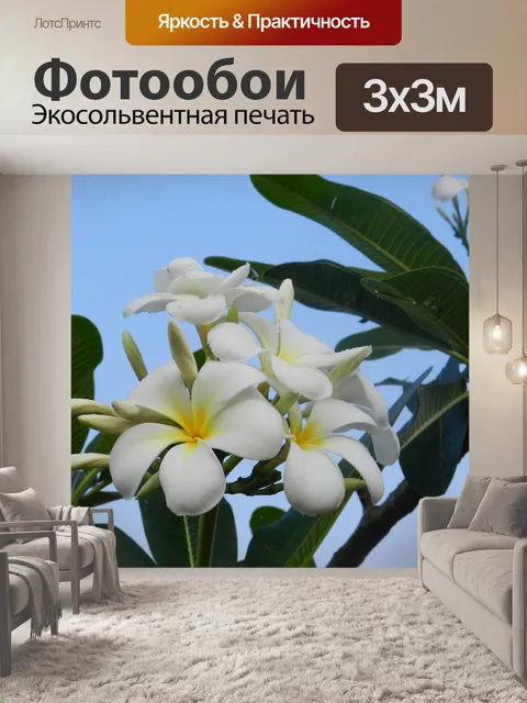 Фотообои Ароматные цветы
