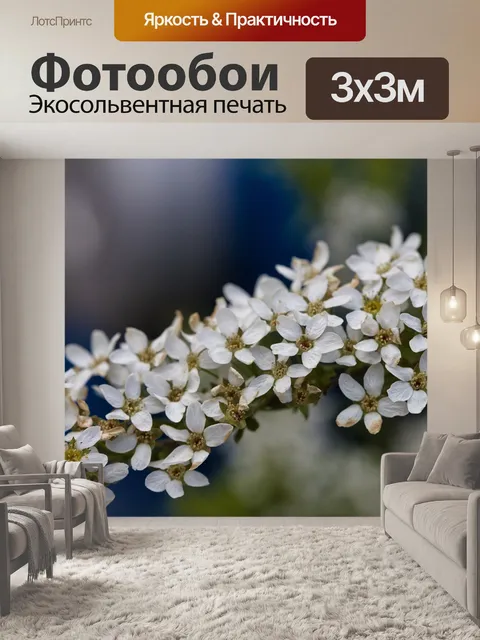 Фотообои Цветы