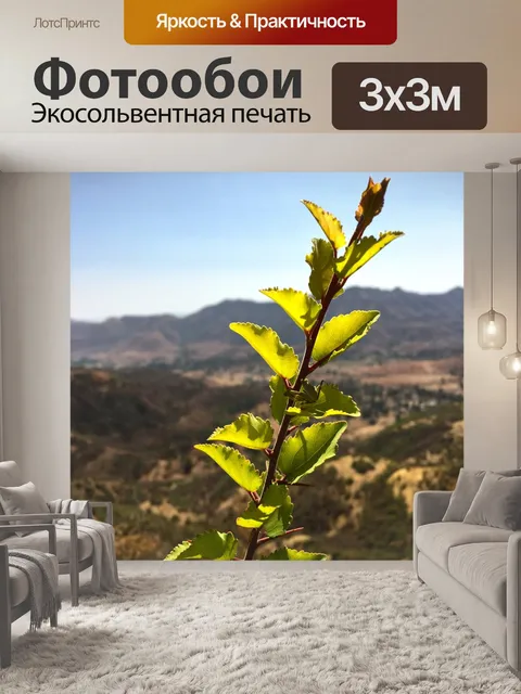 Фотообои Лист