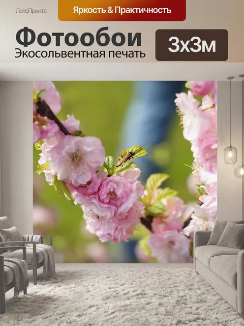 Фотообои Вишня в цвету