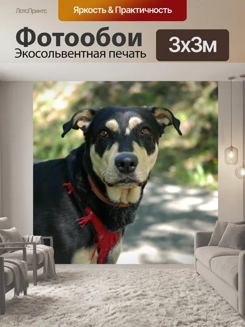 Фотообои Природа