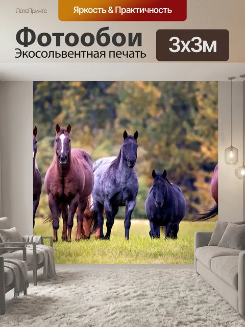 Фотообои Лошади