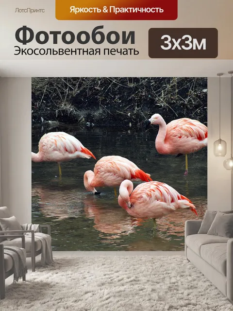 Фотообои Фламинго