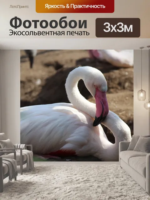Фотообои Хороший