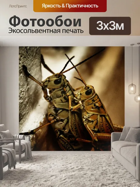 Фотообои Животные