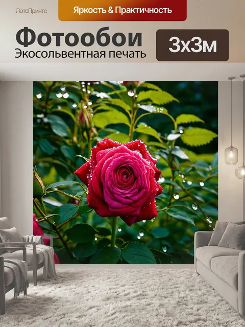Фотообои розы в стиле неоромантизм, свежесть утренней росы и солнечные лучи, проникающие сквозь листья