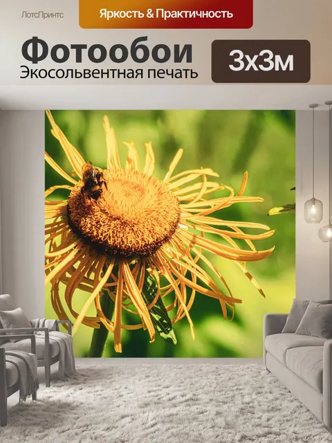 Фотообои Цветы