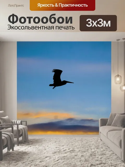 Фотообои Птицы
