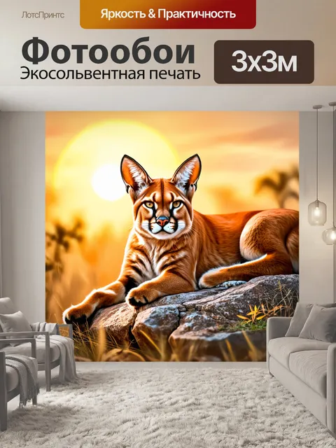Фотообои изобразите каракала, лежащего на большом валуне в саванне, с ярким светом заката, освещающим его рыжий мех