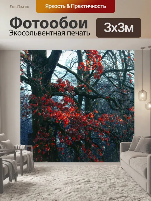 Фотообои Лесные деревья осенняя листва