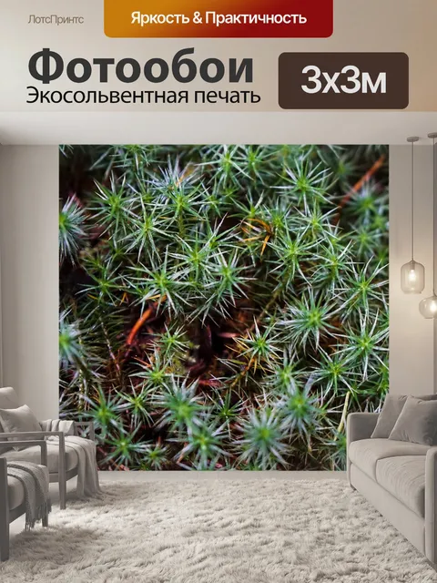 Фотообои Зелень