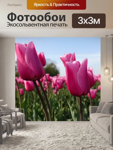 Фотообои Тюльпаны