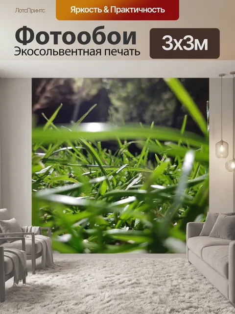 Фотообои Лес