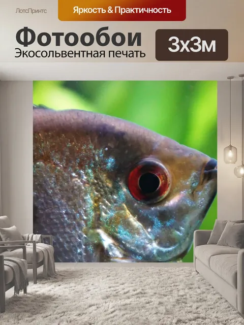 Фотообои Скаляр