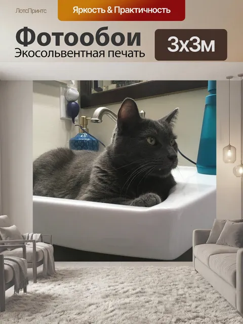 Фотообои Кошка