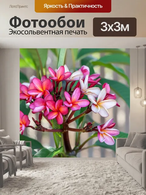 Фотообои Цветок франжипани