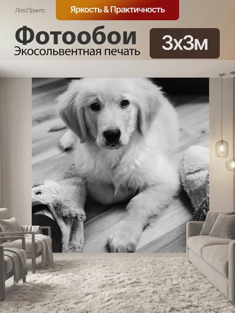 Фотообои Золотой