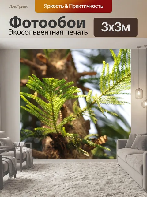 Фотообои Дерево сосны