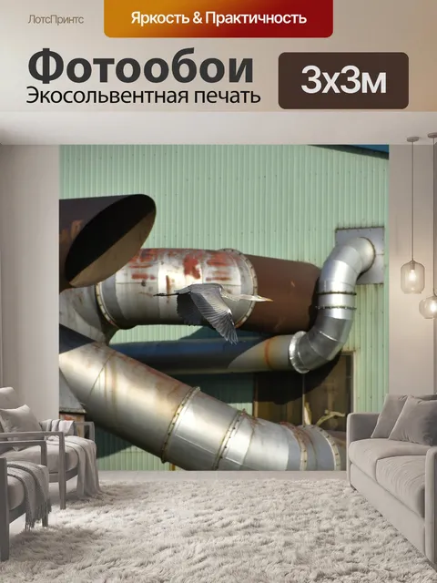 Фотообои Животное
