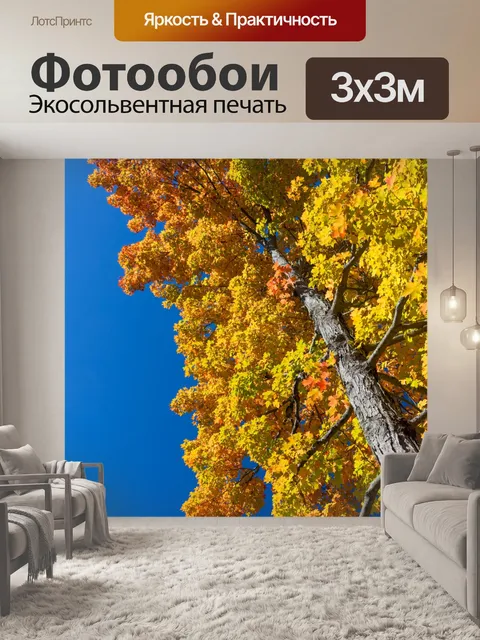 Фотообои Дерево осени вверх