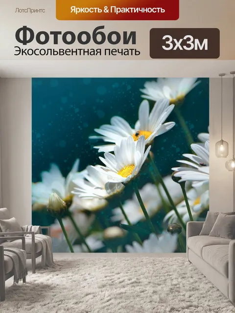 Фотообои Маргаритка