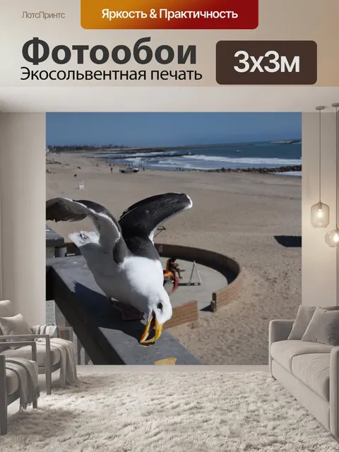 Фотообои чайка