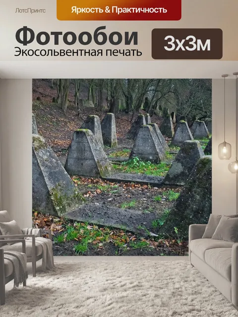 Фотообои Лес