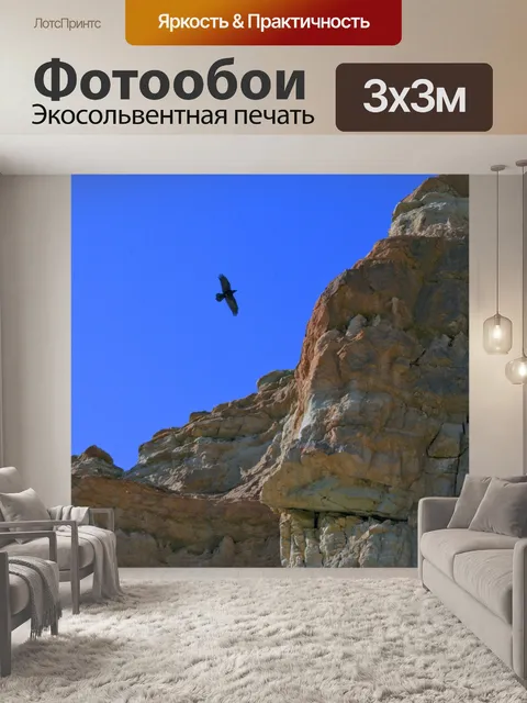 Фотообои Ворона летит над Red Rock Canyon