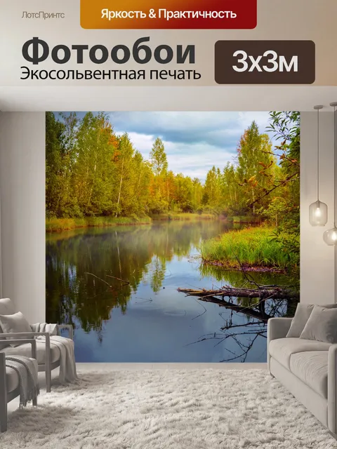Фотообои Осенний лес