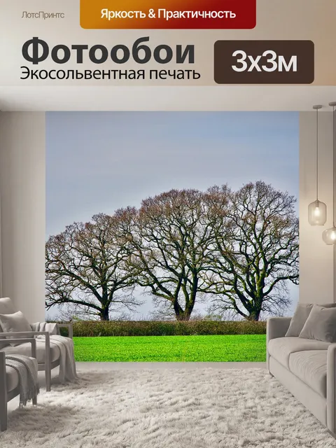 Фотообои Деревья