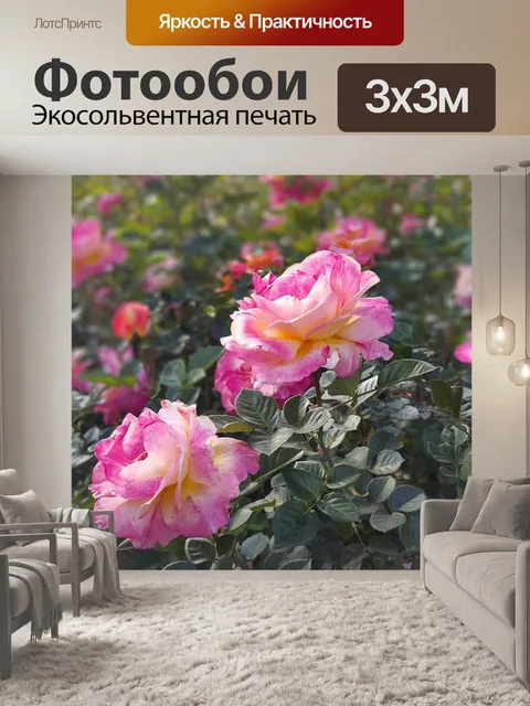 Фотообои Роза