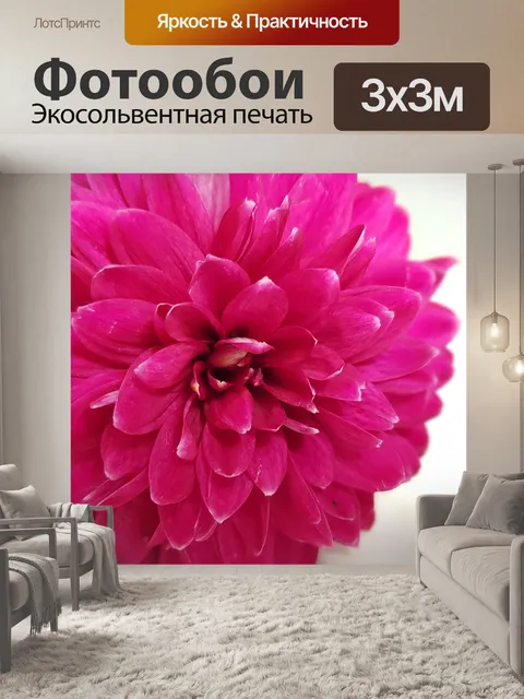 Фотообои Цветок