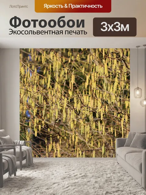 Фотообои Расцветает
