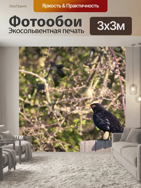 Фотообои Птица