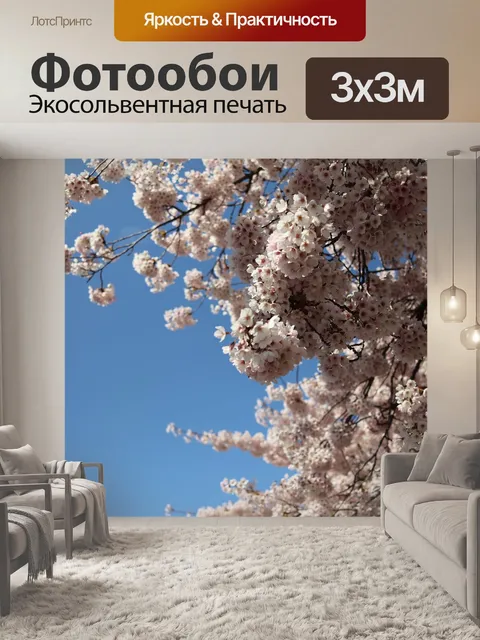Фотообои Сакура