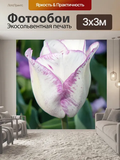 Фотообои Тюльпаны
