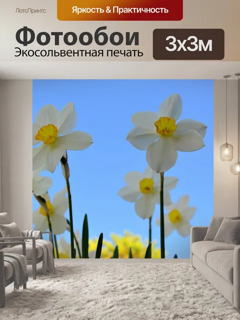 Фотообои Сад