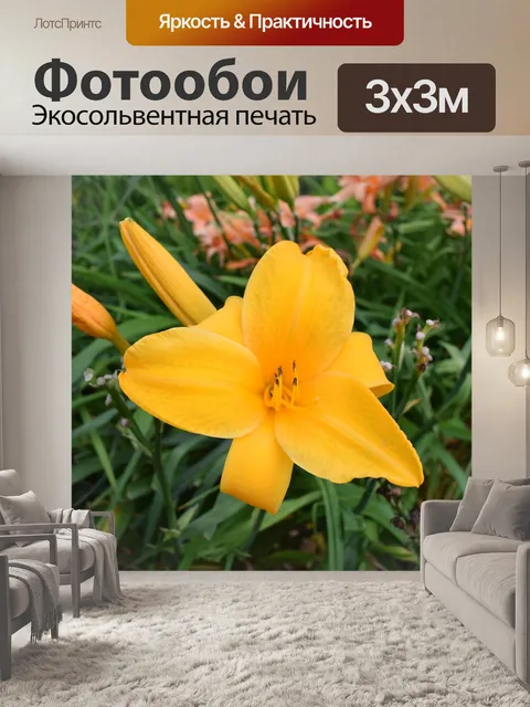 Фотообои Цветы