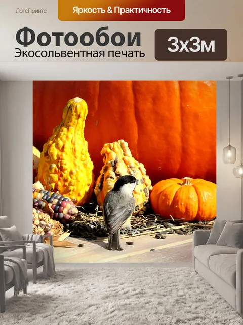 Фотообои Чернокожие Чикади и Тыквы