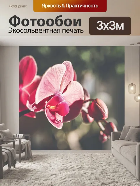 Фотообои Орхидеи