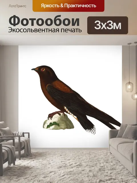 Фотообои Винтажное Искусство Птицы